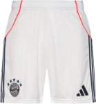 adidas FC Bayern München 25-26 Auswärts Fußballshorts Herren