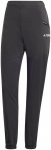 adidas Terrex Damen Xperior Light Hose (Größe L, schwarz)