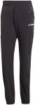 adidas Terrex Herren Xperior Hose (Größe M, schwarz)