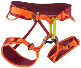 Edelrid Jay II Klettergurt, S, vinered-lollipop