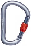 Black Diamond RockLock Screwgate Schraubkarabiner, grey
