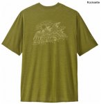 Patagonia Cap Cool Daily Graphic Lands T-Shirt, S, wind runner: graze green x-dy