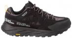 JACK WOLFSKIN Herren Multifunktionsschuhe TERRAQUEST TEXAPORE LOW M, Größe 47,