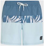 O'NEILL Herren Badeshorts CALI BLOCK 15'' SWIMSHORTS, Größe XXL in Blau