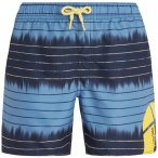 PROTEST Kinder Badeshorts PRTLOUIS JR beachshort, Größe 128 in Blau
