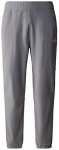 THE NORTH FACE Herren Hose M 100 GLACIER PANT, Größe XXL in Grau