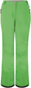 dare2b Stand For II Pant Skihose Damen grün