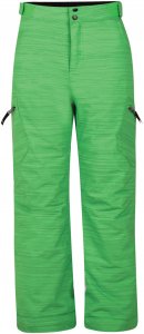 dare2b Spur On Pant Kinderskihose grün 152, Gr. 152