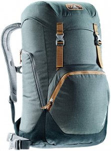 Deuter Walker 24 - Laptoprucksack anthracite-black