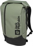 Jack Wolfskin All-In Pack 30 - Daypack mint leaf