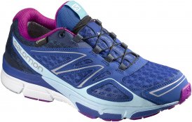 Salomon Damen Laufschuh Trail X-Scream 3D GTX