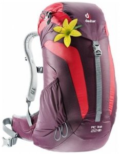Deuter Damen AC Lite 22 SL Wanderrucksack (Volumen 22 Liter / Gewicht 0,9kg) 0