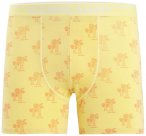 Icebreaker Herren Anatomica Boxers XXL