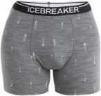 Icebreaker Herren Merino Anatomica Boxers Palm Trail AOP XXL