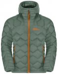 Jack Wolfskin Herren Alpspitze Down Hoody M