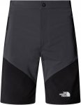 The North Face Herren Felik Slim Tapered Shorts 32