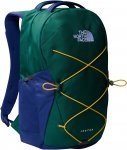 The North Face Jester Tagesrucksack (Volumen 28 Liter / Gewicht 0,74kg)