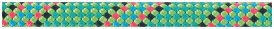 Beal Tiger 10mm Unicore Kletterseil Dry Cover grün 60m