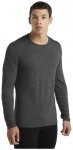Icebreaker Merino 260 Tech LS Crewe - Langarmshirt - Herren, Gr. XL