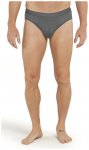 Icebreaker Merino Anatomica - Slip - Herren, Gr. L