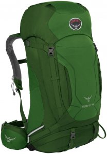 Osprey Herren Tourenrucksack "Kestrel 48 ", grün, Gr. M