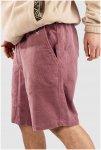 Iriedaily Corvin Shorts plum Gr. L