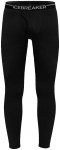 Icebreaker Apex Legging wFly Men black/XXL
