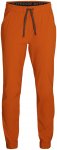 Outdoor Research Ferrosi Women's Joggers terra/S