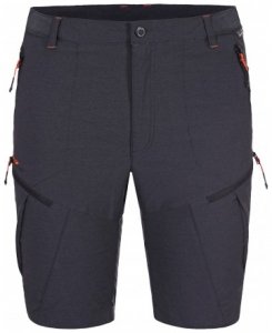 Herren Shorts Ellis , Icepeak , 54