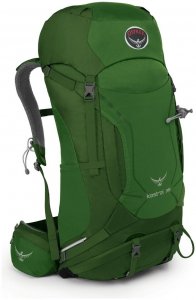 Osprey Kestrel 38 - Tourenrucksack - jungle green - Gr.M/L - 38 Liter