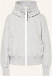 Canada Goose Fleecejacke Chilliwack grau