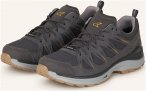 Lowa Trekkingschuhe Innox Evo Ii Gtx grau