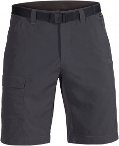 Jack Wolfskin Hoggar Shorts Männer Gr. 46 - Shorts - grau|schwarz