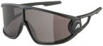 Alpina - Legend Cat. 3 - Sonnenbrille grau