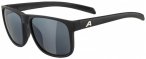 Alpina - Nacan III Mirror Cat. 3 - Sonnenbrille grau