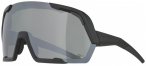 Alpina - Rocket Bold Q-Lite Mirror Cat. 3 - Fahrradbrille grau