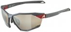 Alpina - Twist Six Q Mirror S3 - Fahrradbrille grau