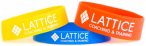 Lattice - Extensor Bands - Fitnessband bunt