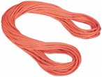 Mammut - 9.8 Crag Classic Rope - Einfachseil Länge 70 m rot