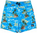 Quiksilver - Kid's Everyday Straight Volley 14 - Boardshorts Gr 16 Years blau