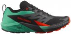Salomon - Sense Ride 5 - Trailrunningschuhe 40 2/3 bunt