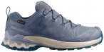 Salomon - Women's XA Pro 3D V9 GTX - Multisportschuhe 42 2/3 grau