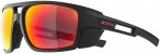 Alpina Skywalsh Gletscherbrille (Größe One Size, schwarz)