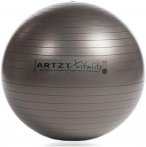 Artzt vitality Fitness-Ball Professional (Größe 55CM, grau)