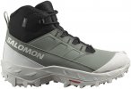 Salomon Damen Crosstrak WP Schuhe (Größe 38.5 , gruen)