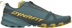 Dynafit Herren Traverse GTX Schuhe (Größe 45, blau)