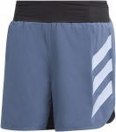 Adidas Terrex Agravic Shorts M Blau | Größe XL 5" | Herren