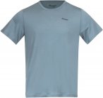 Bergans Graphic Wool M Tee Blau | Herren Kurzarm-Shirt