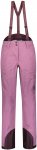 Scott W Explorair 3l Pants (vorgängermodell) Pink | Größe XL | Damen Hose