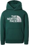 The North Face Youth Drew Peak Hoodie Grün | Größe M |  Sweaters & Hoodies
